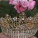 Candidatas à corte da 37ª Festa das Rosas serão conhecidas no próximo domingo em Sapiranga