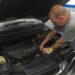 Guia Veículos: Todo Auto Elétrica em Sapiranga