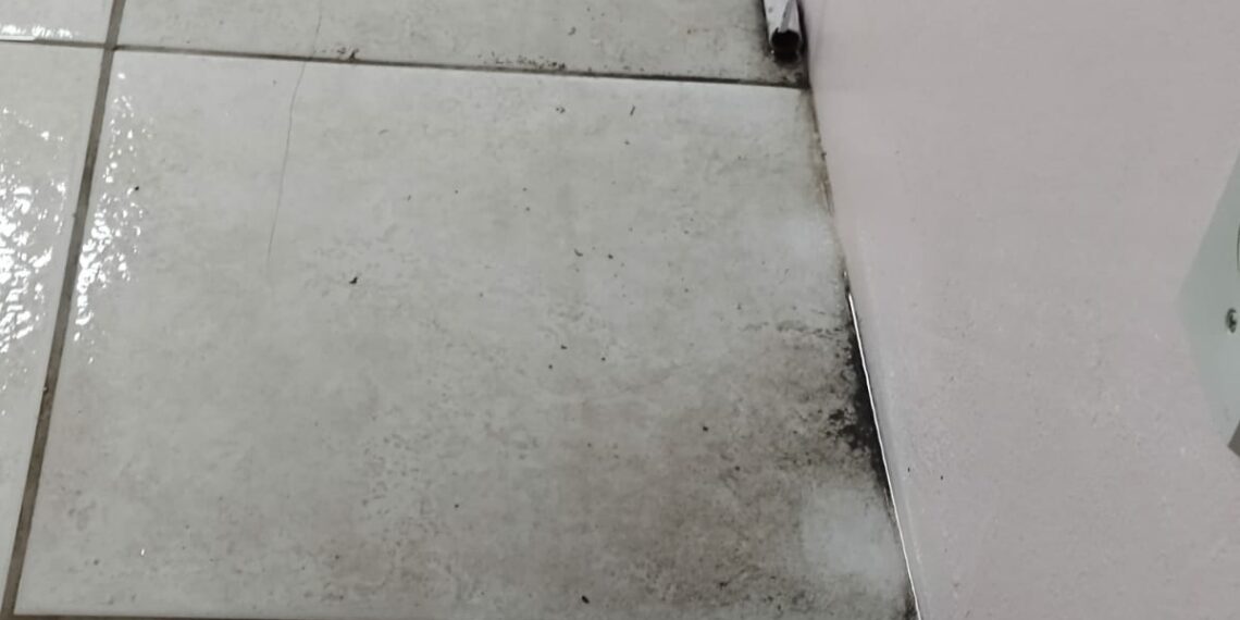 Vereadoras de Araricá constatam goteiras no Centro de Cultura