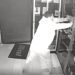 Bandido invade loja de eletrônicos no Centro de Sapiranga e causa prejuízo