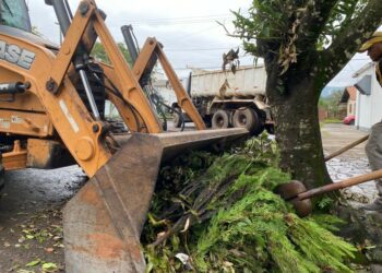 Recolhimento de podas e entulhos faz parte do trabalho diário da Secretaria de Obras de Sapiranga