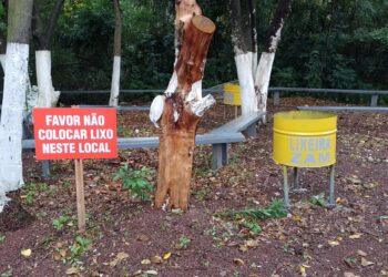 Incentivo aos hábitos de preservação na Zam Calçados
