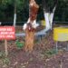 Incentivo aos hábitos de preservação na Zam Calçados