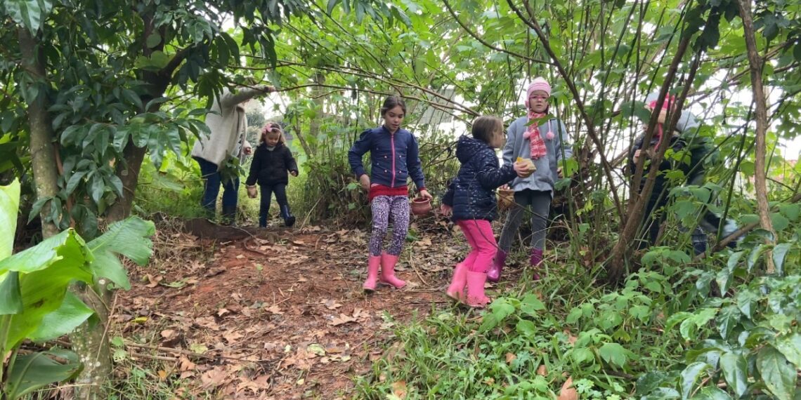 Centro Ambiental de Campo Bom promove o contato com a natureza no coração da cidade