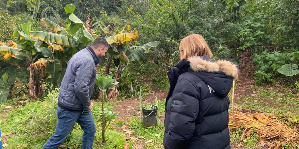Centro Ambiental de Campo Bom promove o contato com a natureza no coração da cidade