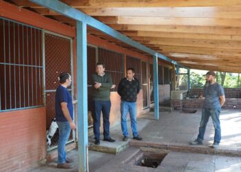 Cempra de Campo Bom recebe ampliação para facilitar o manejo dos animais