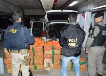 Maior apreensão da história de Dois Irmãos: 500kg de maconha apreendidas em chácara (Foto: Polícia Federal)