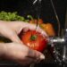 Comerciantes de produtos alimentícios precisam de curso para participar de feiras em Sapiranga