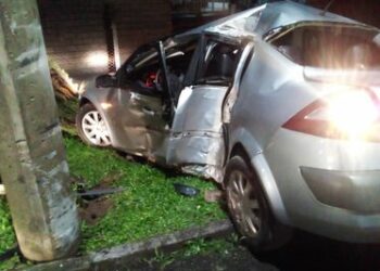 Cavalos soltos causam graves acidentes ao longo da RS-239
