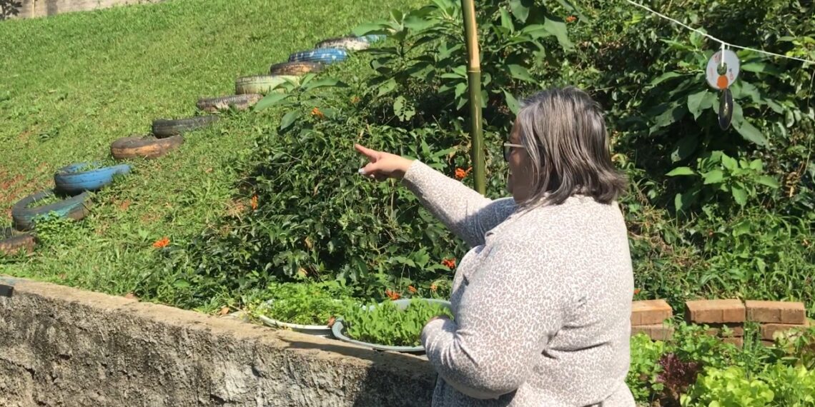Campo Bom projeta investimento de R$ 2 milhões em escola no bairro Aurora