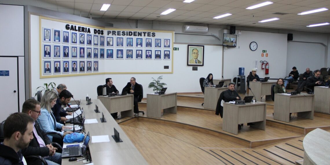 Vereadores aprovam reestruturação do Conselho da Pessoa com Deficiência em Campo Bom