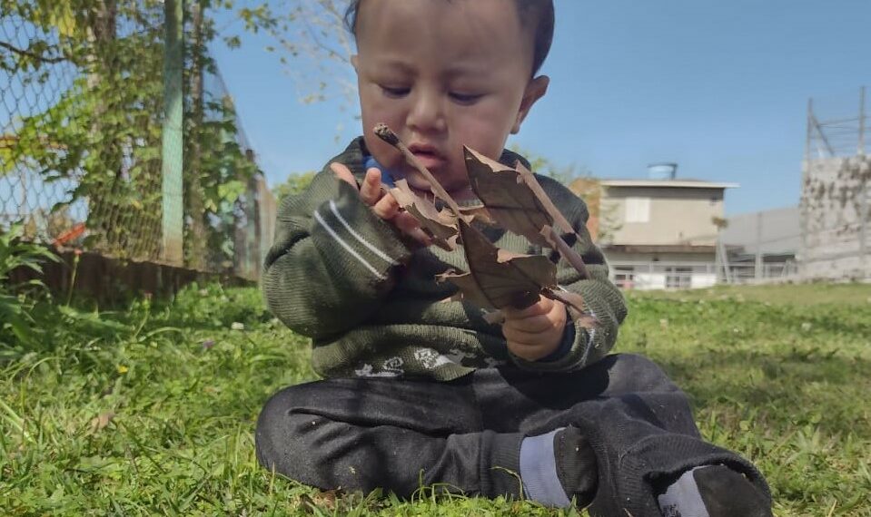Projeto de escola de Campo Bom, é finalista nacional do Meu Pátio é Meu Mundo 2022