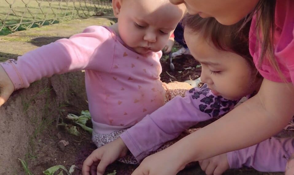 Projeto de escola de Campo Bom, é finalista nacional do Meu Pátio é Meu Mundo 2022