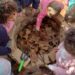 Projeto de escola de Campo Bom, é finalista nacional do Meu Pátio é Meu Mundo 2022