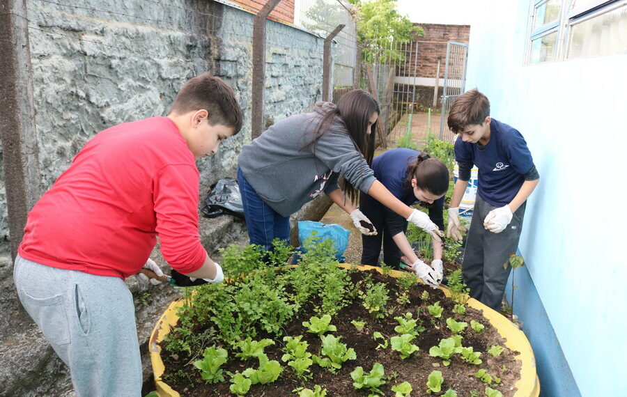 Alunos cultivam sua própria horta na Escola La Salle, de Sapiranga