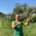 Morador de Sapiranga planta mudas de butiá pela cidade, árvore ameaçada de extinção