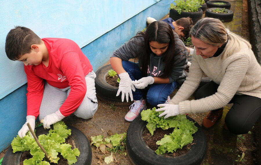 Alunos cultivam sua própria horta na Escola La Salle, de Sapiranga