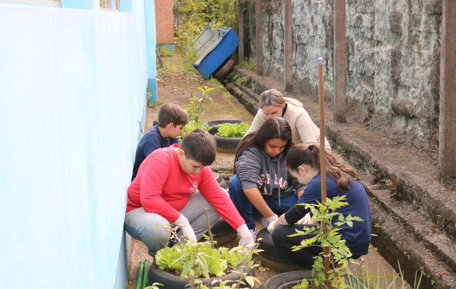 Alunos cultivam sua própria horta na Escola La Salle, de Sapiranga