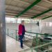 Escola do Sapato deve iniciar os cursos até outubro em Sapiranga