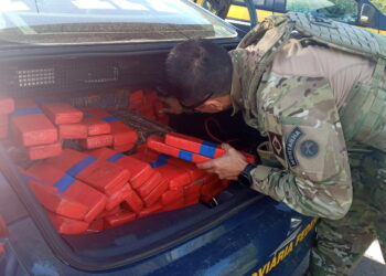 Cerca de 200kg de maconha são apreendidos após perseguição na RS-239
