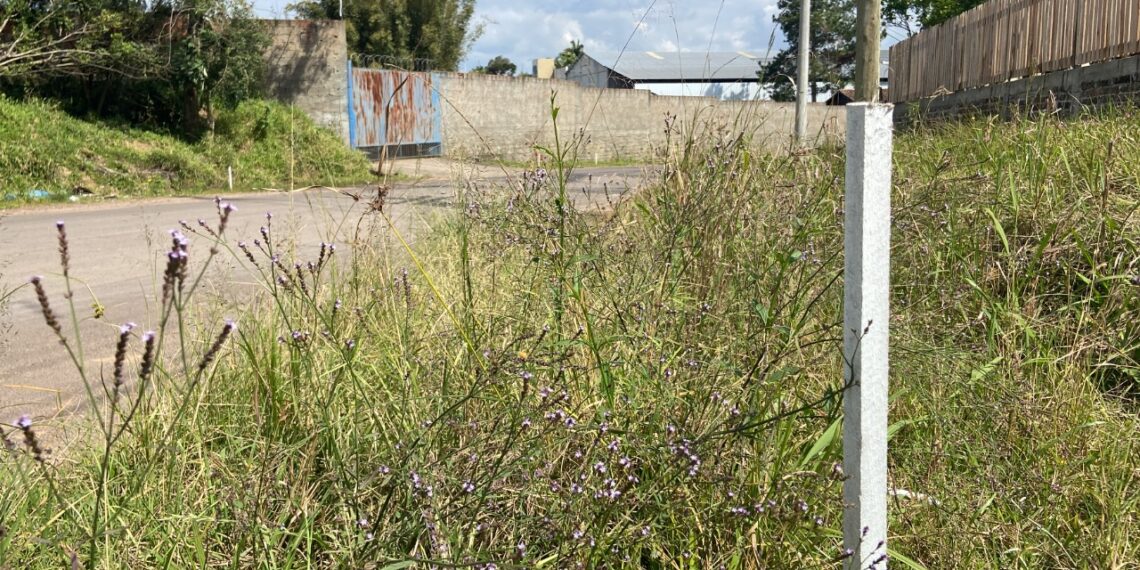 Rua Novo Hamburgo recebe obras para qualificar acesso à RS-239 em Sapiranga