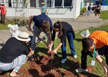 Cem mudas de árvores nativas foram doadas pela Prefeitura e plantadas no IFSul de Sapiranga