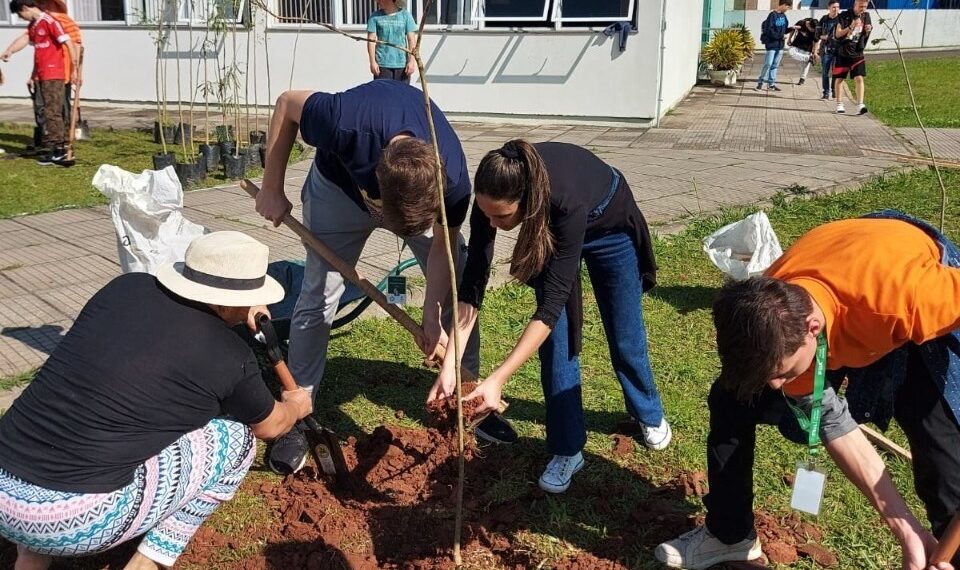 Cem mudas de árvores nativas foram doadas pela Prefeitura e plantadas no IFSul de Sapiranga