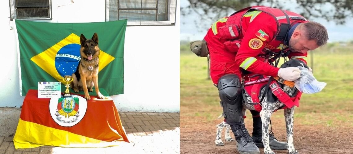 Cães do projeto K-9 de Sapiranga e Nova Hartz são destaques em torneio internacional