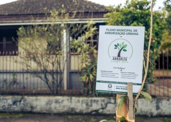 Programa Arboriza Campo Bom distribuiu mais de 1,3 mil mudas de espécies nativas na cidade