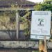 Programa Arboriza Campo Bom distribuiu mais de 1,3 mil mudas de espécies nativas na cidade