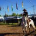 Campo Bom divulga datas para o Rodeio Nacional de 2023