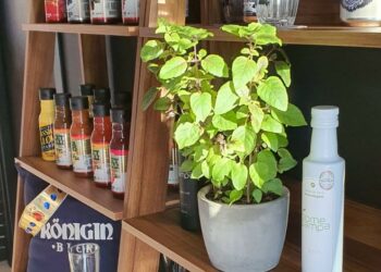 Guia Gastronômico 2022: Königin Bier Brew Pub agora tem vinhos e ingredientes especiais