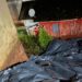 Chuva intensa da sexta-feira causa transtornos em Nova Hartz