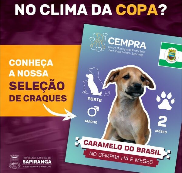 Sapiranga lança campanha de adoção de cães inspirada em figurinhas da Copa do Mundo
