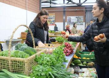 Feira de Produtos Orgânicos de Sapiranga celebra o Dia das Crianças na nesta quinta-feira