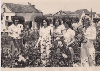 Conheça a história da Festa das Rosas, o evento mais tradicional de Sapiranga