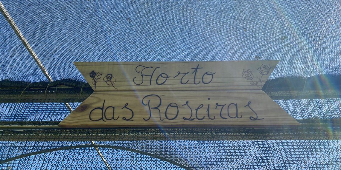 Cidade das Rosas agora possui local de produção da sua flor-símbolo, o Horto das Rosas