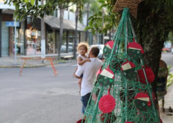Sapiranga e Taquara contam com adoção de árvores de Natal
