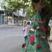 Sapiranga e Taquara contam com adoção de árvores de Natal
