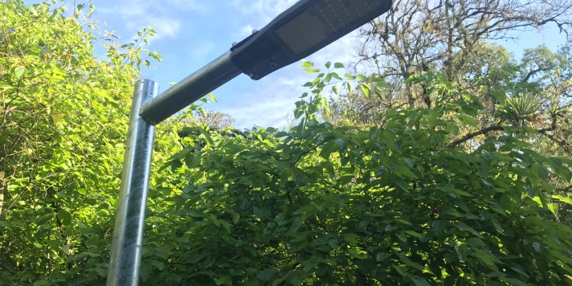 Reformas no Parcão; intervenções da Prefeitura antes da Festa das Rosas