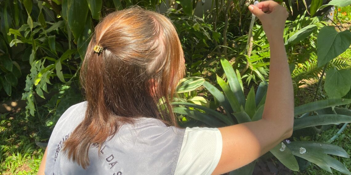Agentes fazem visitas para levantamento sobre o Aedes aegypti em Sapiranga