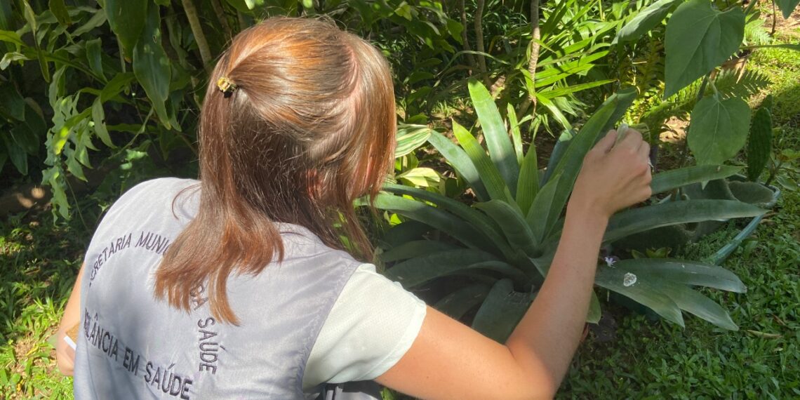 LIRAa apresenta baixo índice de infestação do Aedes aegypti em Sapiranga