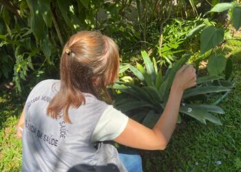 LIRAa apresenta baixo índice de infestação do Aedes aegypti em Sapiranga