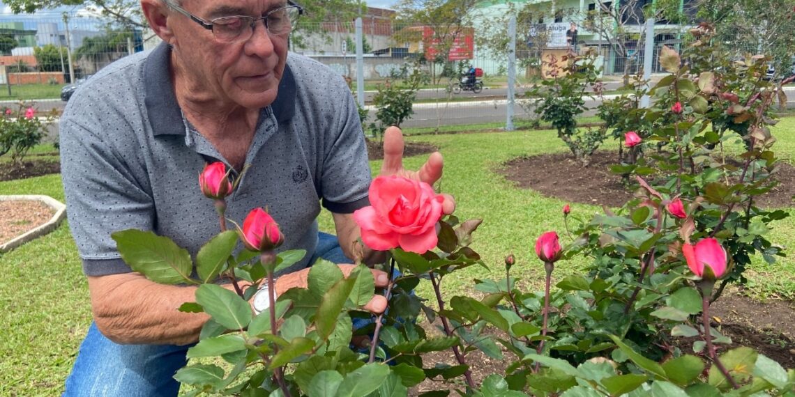 Parcão florido: Gilberto Lenhardt, o protetor das rosas