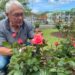 Parcão florido: Gilberto Lenhardt, o protetor das rosas