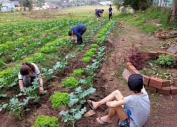 Campo Bom é destaque no Programa Saneamento na Escola