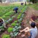 Campo Bom é destaque no Programa Saneamento na Escola