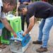 Prefeitura de Campo Bom realiza mutirão de castrações de cães e gatos