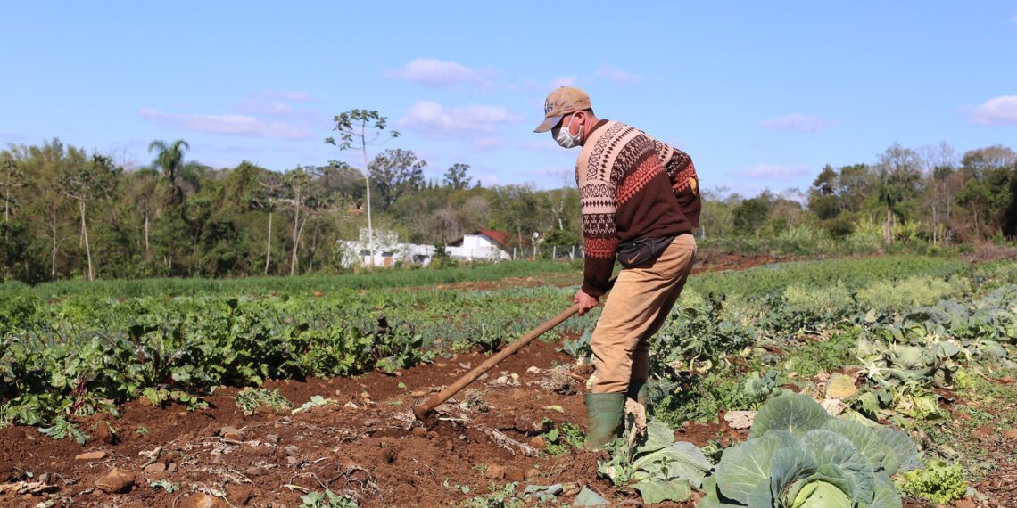Campo Bom é destaque estadual em políticas públicas para a agricultura