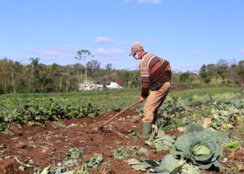 Campo Bom é destaque estadual em políticas públicas para a agricultura